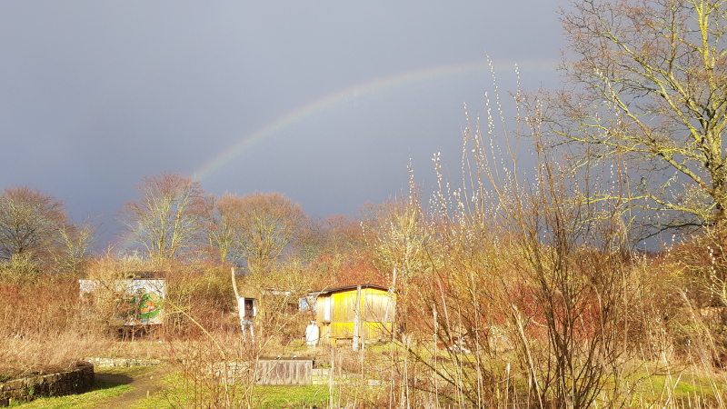 Ein Regenbogen am Himmel über dem Garten